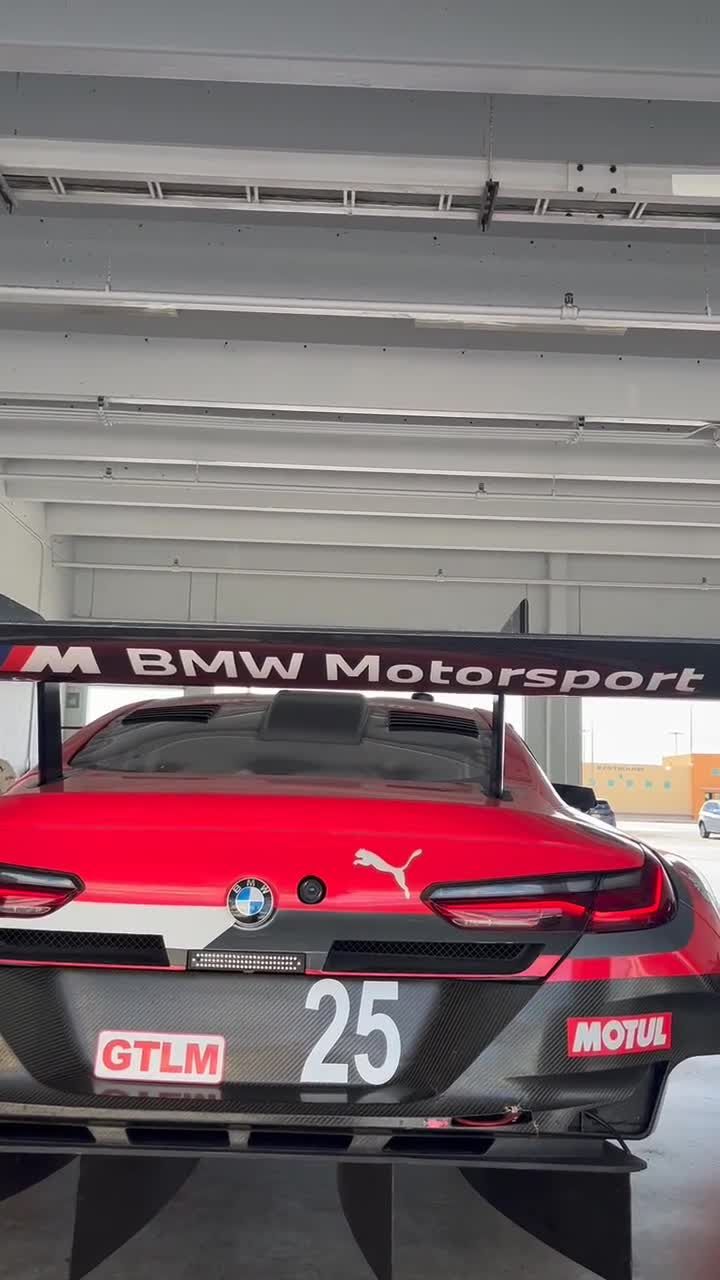 Превью BMW M8 GTE на Targa 66 2024 года